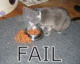 /album/top-fail-/a1-jpg/